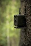 GSM – фотоловушка KUBIK, Bluetooth. 